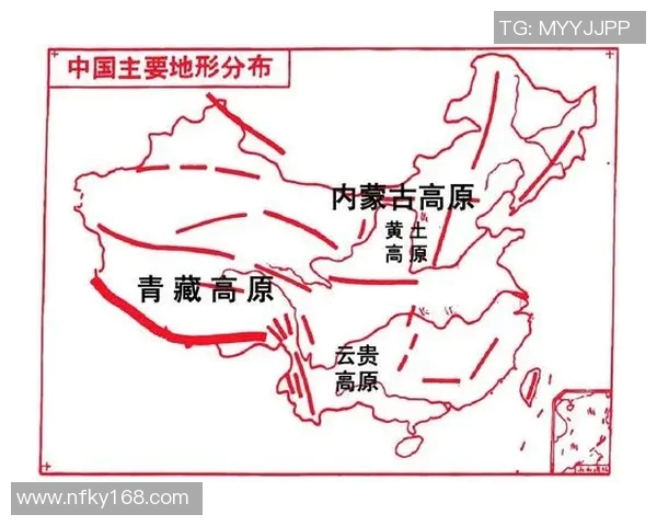 中国足球场排名分析及其对国内足球发展的影响探讨